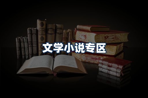 文学小说PDF展示